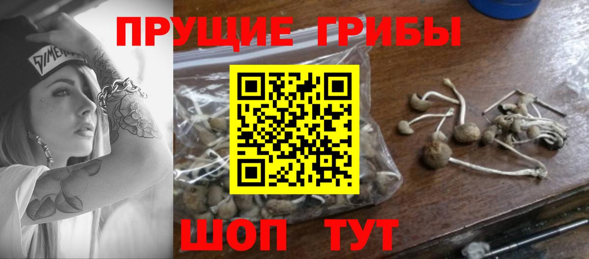 Галлюциногенные грибы Magic Shrooms  Вход с VPN  Ишимбай  магазин продажи наркотиков  Псилоцибиновые грибы Cubensis 